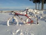 08012010007 [800x600].jpg