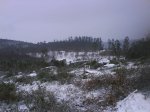 DSC00152.jpg