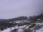 DSC00151.jpg
