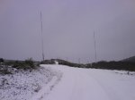 DSC00159.jpg