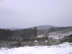 DSC00162.jpg