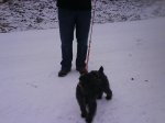 DSC00158.jpg