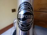 Oxford Benji_04.jpg