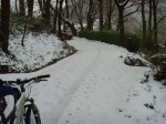 NIEVE Y REYES 042 [].jpg