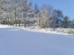NIEVE Y REYES 070 [].jpg