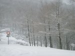 NIEVE Y REYES 083 [].jpg