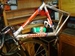 DSC02036.JPG
