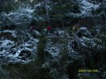 SL271828.JPG