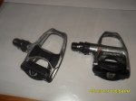 SDC10628.jpg