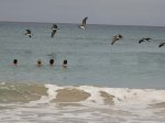 IMG_0342.jpg