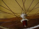 DSC01330.jpg