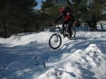 ImagenNov2009 010.jpg