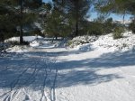 ImagenNov2009 006.jpg