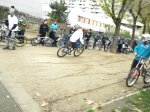 P1015990.jpg