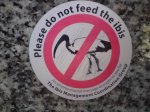 Sticker Ibis.jpg
