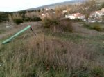 Foto n96451.jpg
