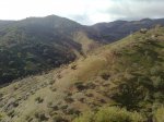 Imagen0090_1.jpg