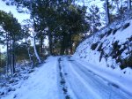 DSC00161.jpg