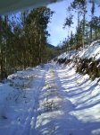 DSC00155.jpg