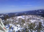 DSC00175.jpg