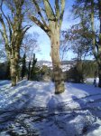 DSC00158.jpg