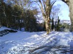 DSC00157.jpg