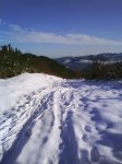 DSC00166.jpg