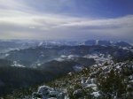 DSC00179.jpg