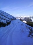 DSC00167.jpg