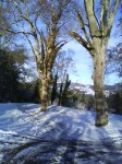 DSC00159.jpg
