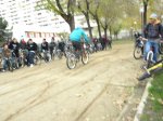 P1016004.jpg