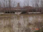 DSC03123.jpg