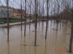 DSC03133.jpg