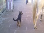 08012010296.jpg