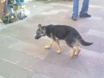 08012010295.jpg