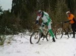 bicicleta 094.jpg
