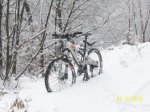 100_4271.jpg
