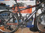 Xclusive3 2010.jpg