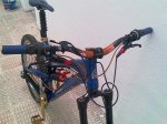 IMAG0082.jpg