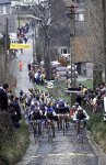 4. Phil Anderson ysus comapÃ±eross Eddy Planckaert y Eric Vanderaerden,encaran la subida en 1984..jp