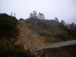 IMGP0330.jpg
