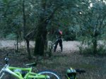 DSC00078.jpg