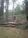 Enduro1.jpg