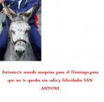 BURRO.jpg