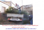 CAMION.jpg