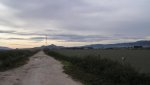 P1160293_resize.jpg