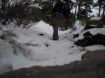 DSCN1270.jpg