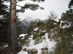 DSCN1259.jpg