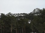 DSCN1268.jpg