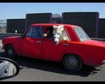 ferrari gitano.jpg